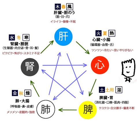 腎 五行